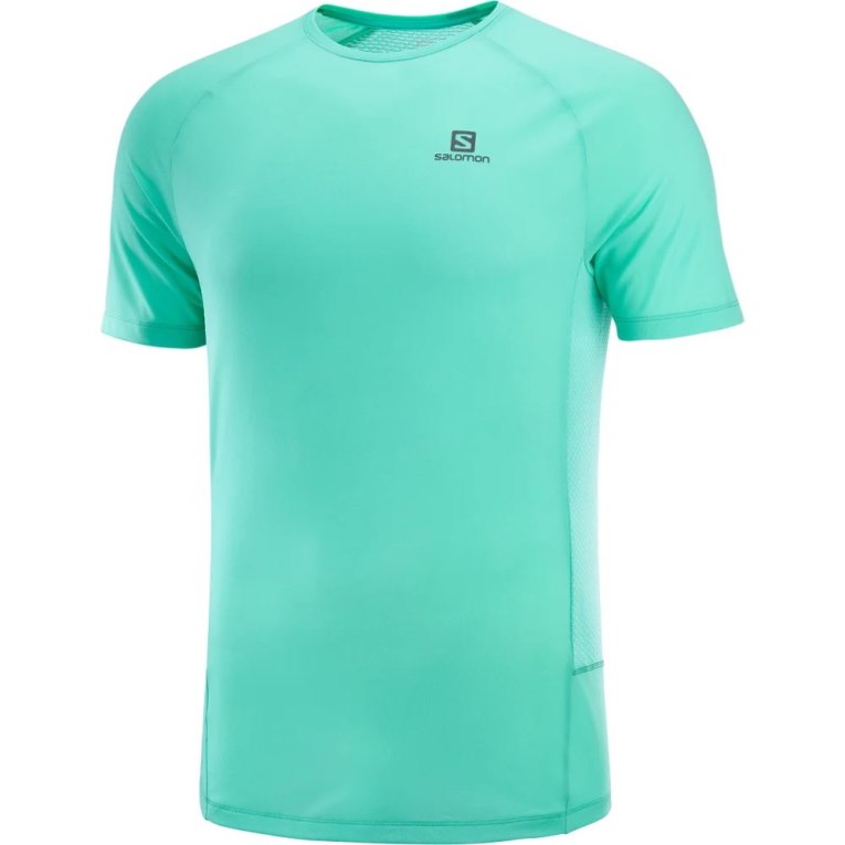 Camiseta Salomon Cross Rebel Corta Sleeve Hombre Turquesa | MX AWDC084